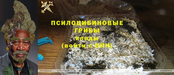 apvp Осташков