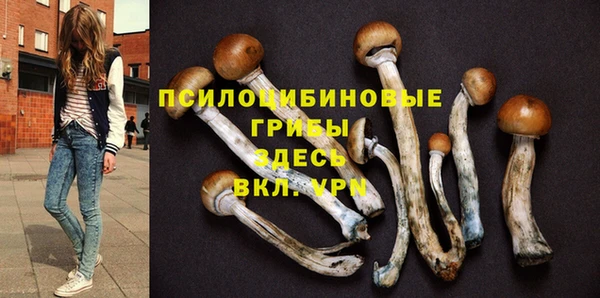 амф Баксан